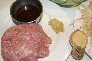 Ingredients Meat & Sauce