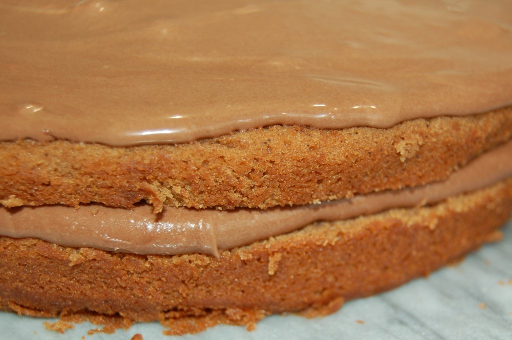 Cake Filled And Covered With Mousse