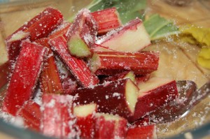 Rhubarb Prepared For Cake